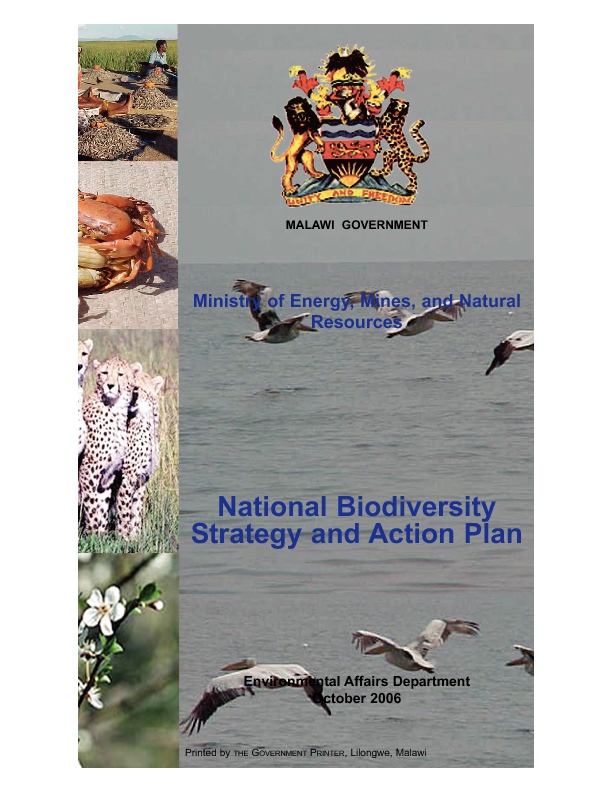 National Biodiversity Strategy And Action Plan 2006 — CEPA